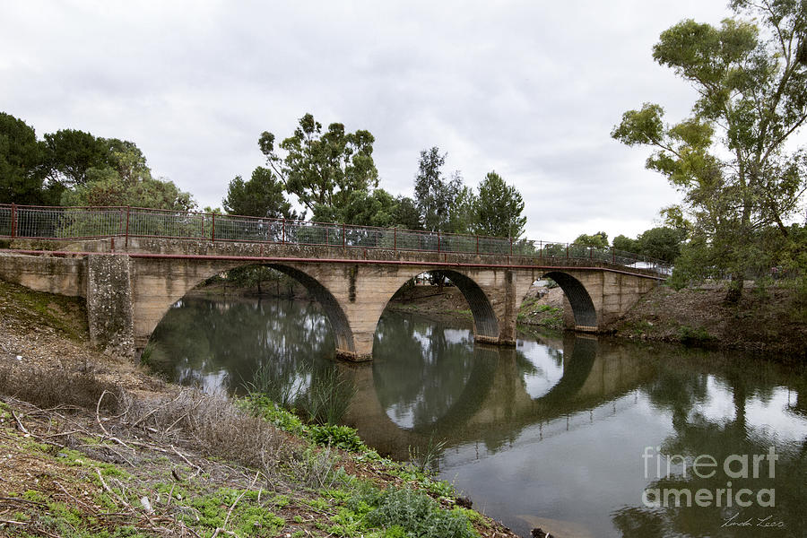 Bridge Photograph - Footbridge across the Burra Creek by Linda Lees