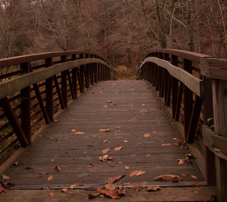 Footbridge at Conkles Hollow Photograph by Haren Images- Kriss Haren