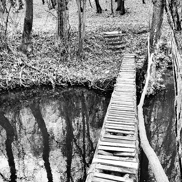 Nature Photograph - Footbridge #iphone #4s #bw  #cz #nature by Jan Kratochvil