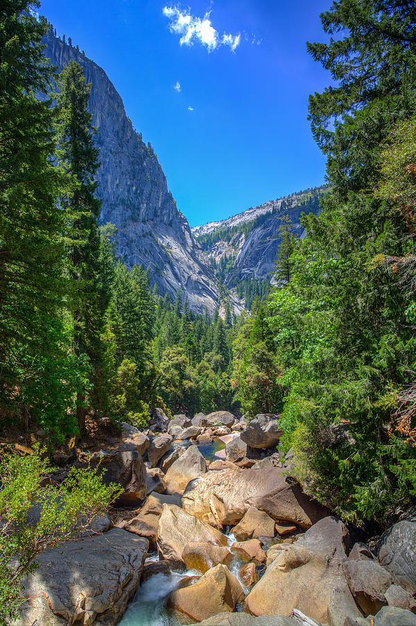 Yosemite National Park Photograph - Footbridge View by Mike Lee