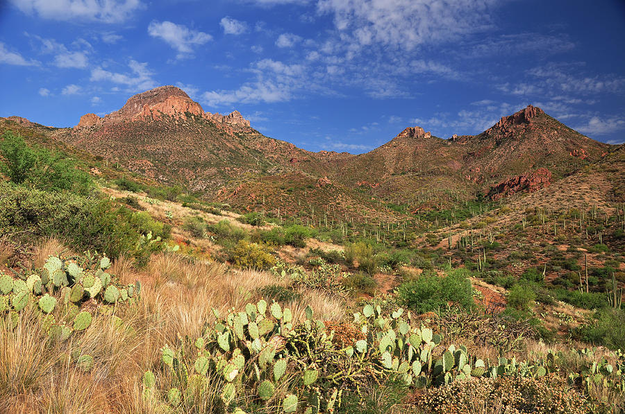 Foothills Photograph by John Gee - Fine Art America