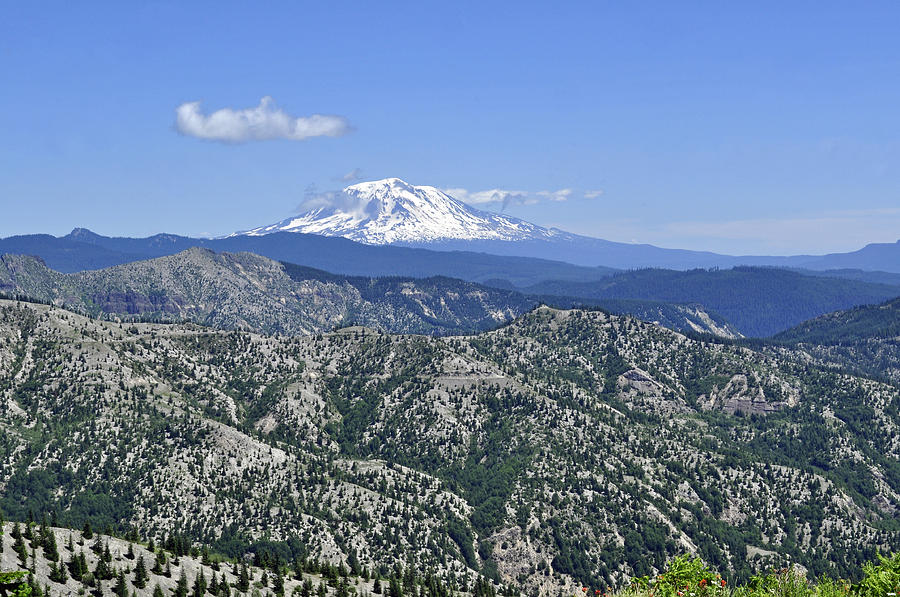 Foothills of Mt. Adams Photograph by Tikvahs Hope