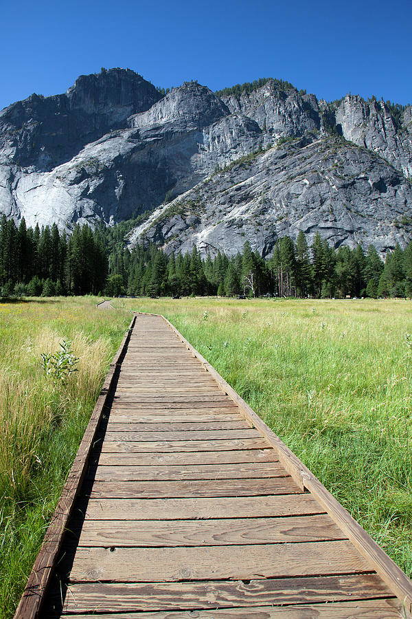 Footpath In Yosemite National Park Photograph by Geri Lavrov