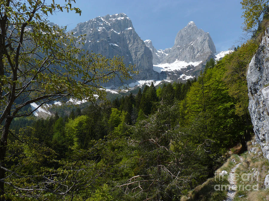 A walk in the Brenta Dolomites Photograph by Phil Banks