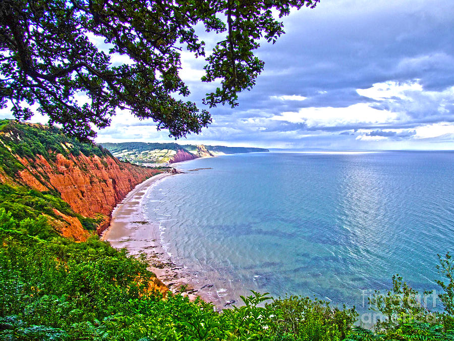 Footpath To Sidmouth Digital Art by Andrew Middleton