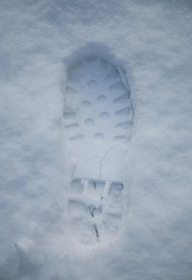 Footprint In Snow by Tony Craddock/science Photo Library