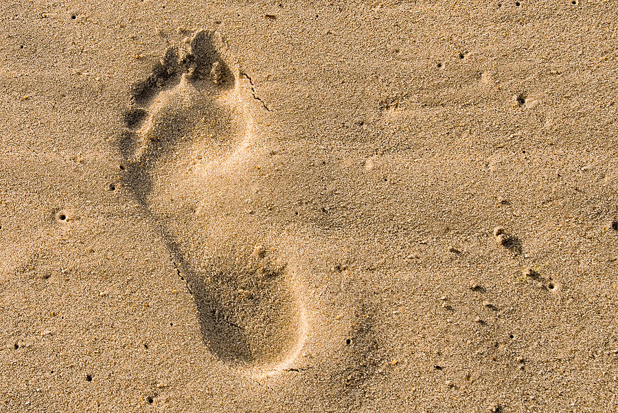 Footprint in the Sand Photograph by Georgette Grossman