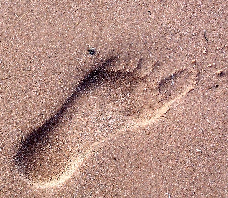 Footprint in the Sand Photograph by Kathleen Luther