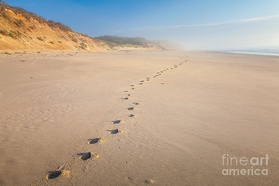 Footprints at Nauset Light Beach Photograph by Susan Cole Kelly