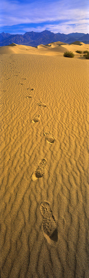 Death Valley National Park Photograph - Footprints, Death Valley National Park by Panoramic Images