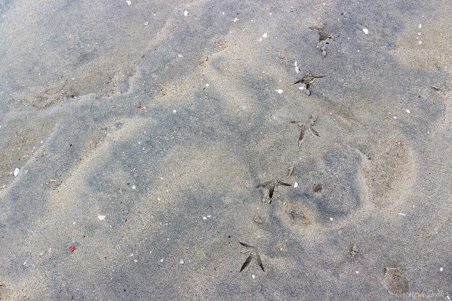 Footprints Photograph by Heidi Smith