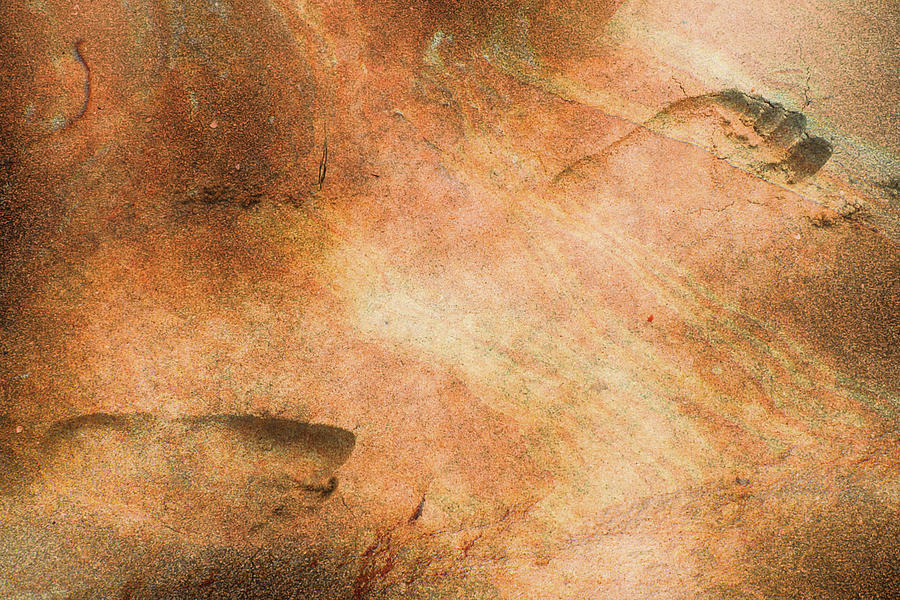 Dinosaur Digital Art - Footprints in Rock by Phill Petrovic