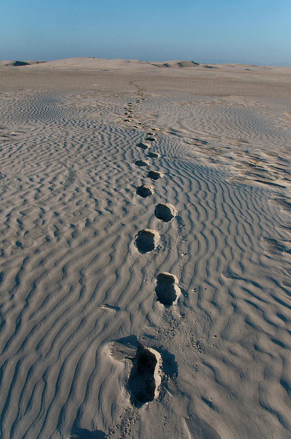 Footprints In Sand Dunes Along Scammons Photograph by Mark Newman