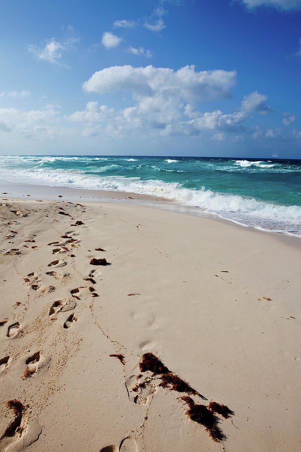 Footprints In Sand On Beach Photograph by Panoramic Images - Fine Art ...