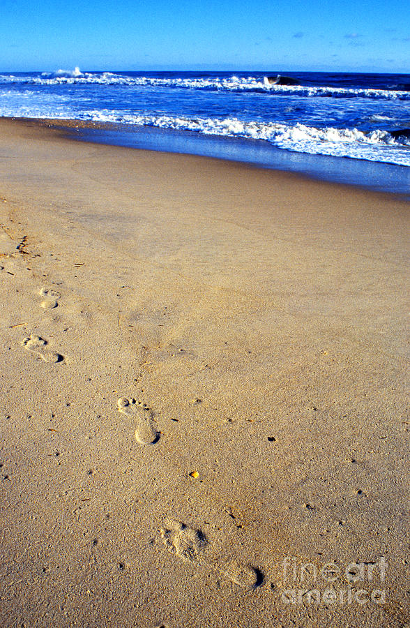 Footprints in Sand Photograph by Thomas R Fletcher