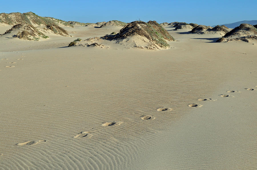 Footprints in the Dunes Photograph by Bruce Gourley