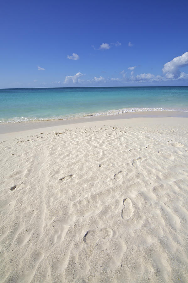 Footprints in the Powdery White Sand of Aruba Photograph by David Letts