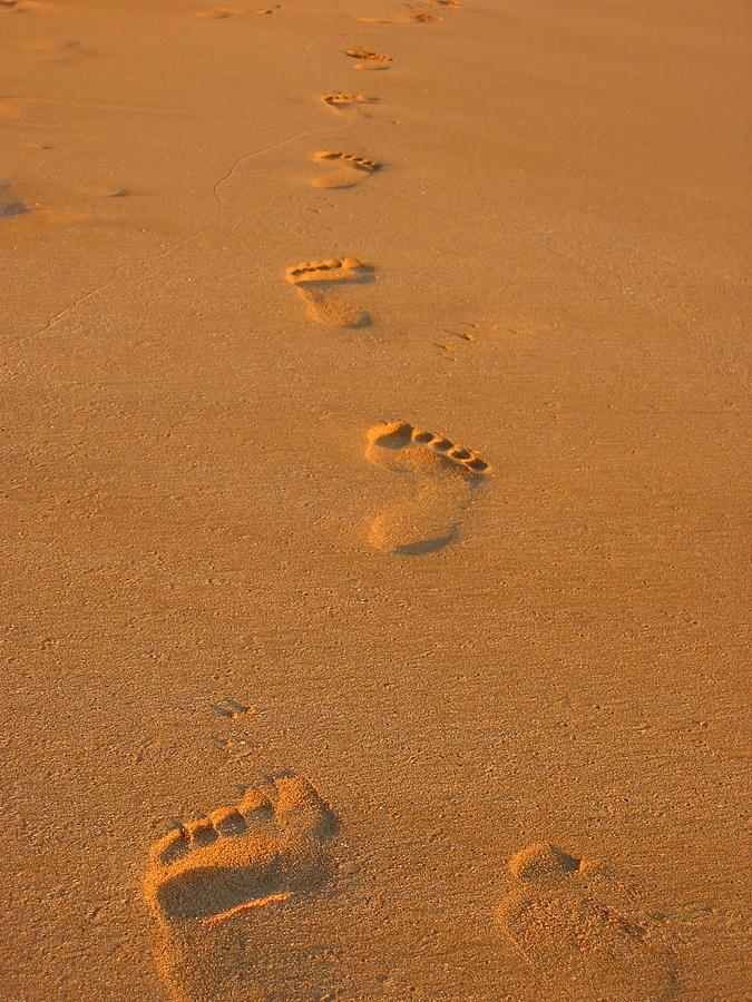 Nature Photograph - Footprints in the Sand by Andreas Thust
