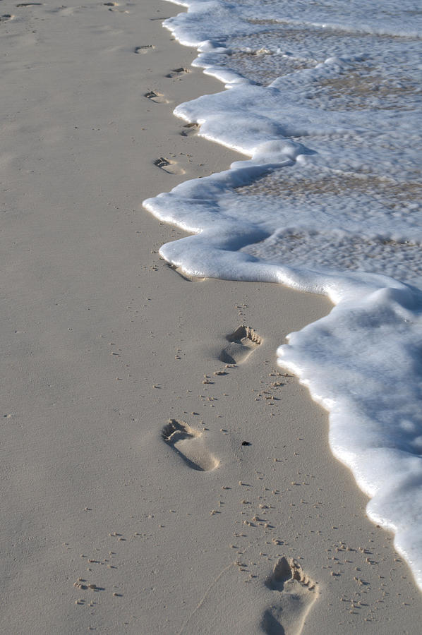 Footprints in the Sand Photograph by Caroline Stella