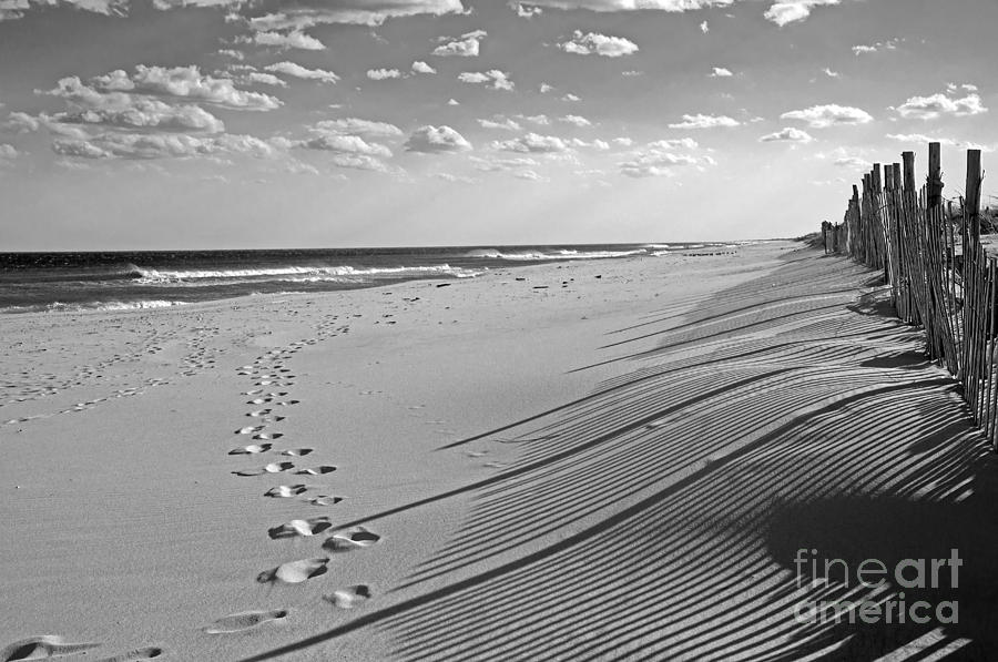 Footprints in the Sand Photograph by Debra Fedchin