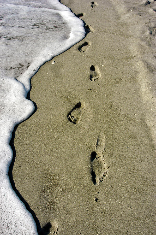 Footprints in the Sand Photograph by Geraldine Alexander
