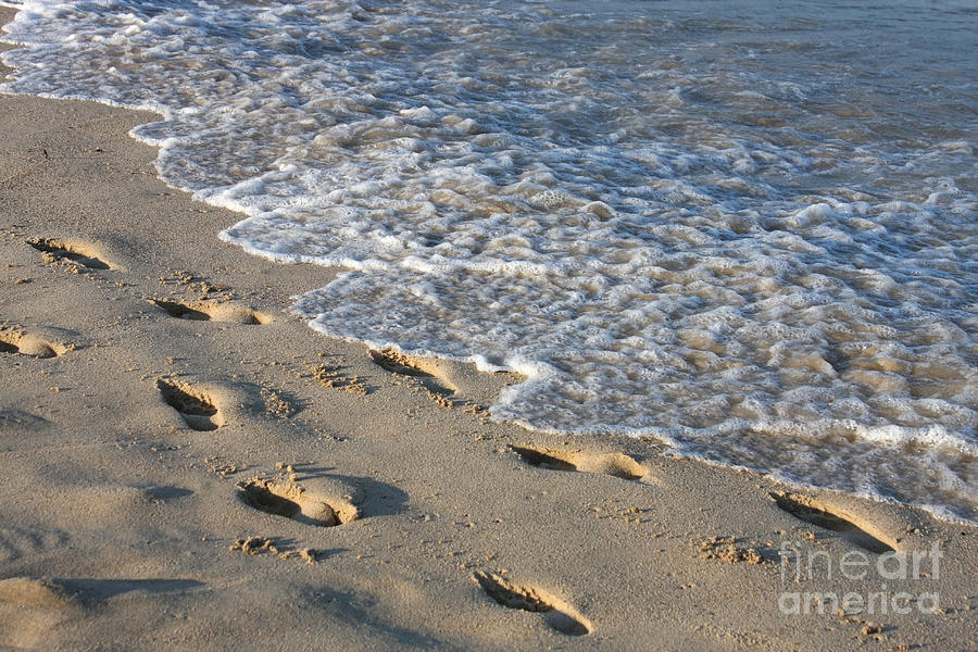 Footprints in the Sand Photograph by Jayne Carney