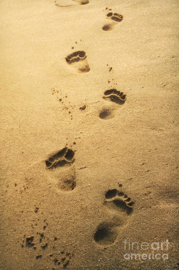 Footprints in the sand Photograph by Jelena Jovanovic