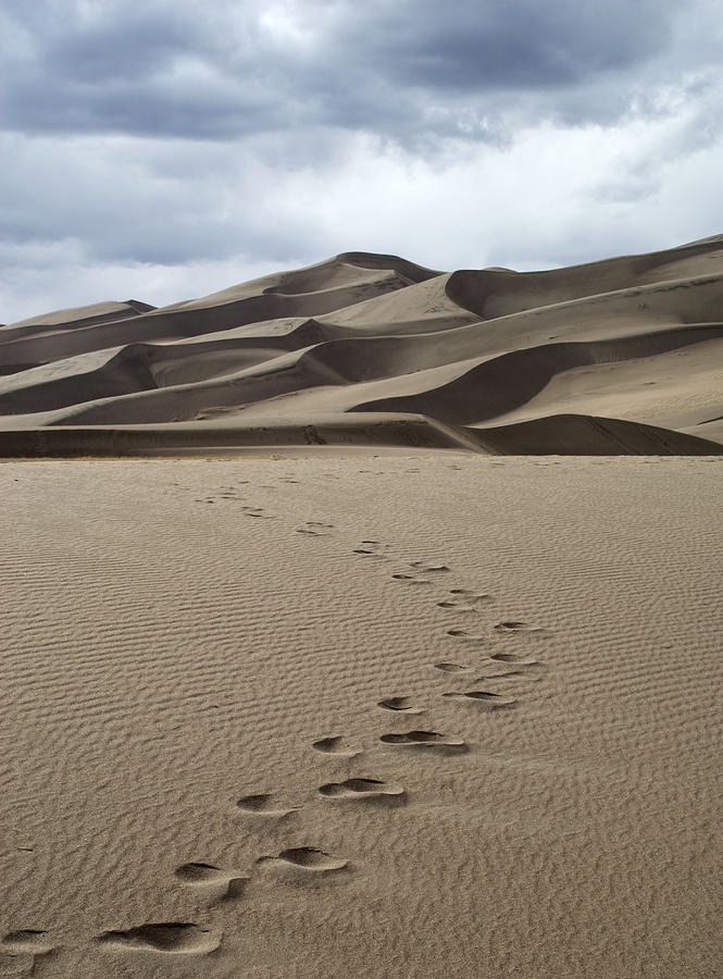 Sand Photograph - Footprints in the Sand by Jessica Wakefield Sand Photograph - Footprints in the Sand by Jessica Wakefield