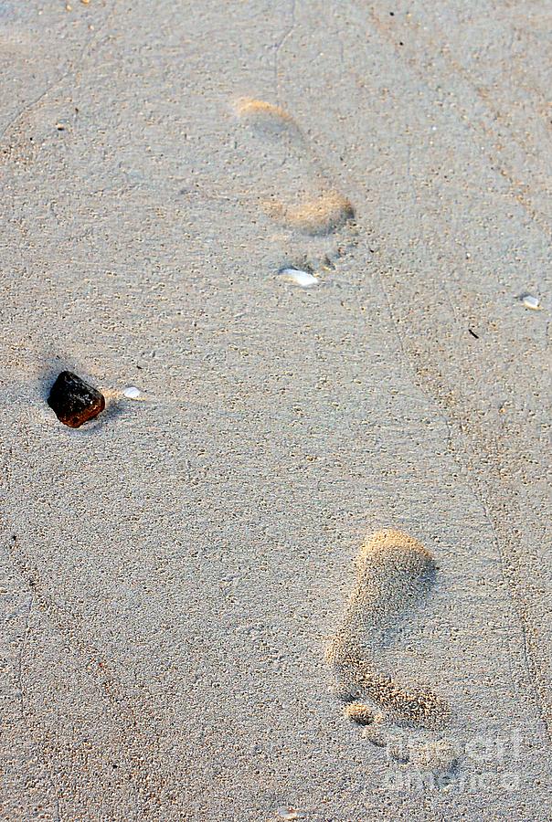 Footprints in the Sand Photograph by Lilliana Mendez