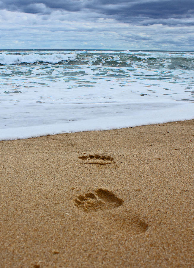 Footprints In The Sand Photograph by Mamie Thornbrue - Fine Art America