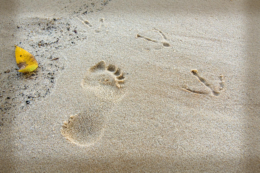 Footprints in the Sand Photograph by Melinda Fawver