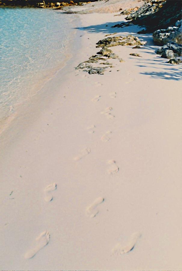 Footprints in the Sand Photograph by Nina-Rosa Dudy