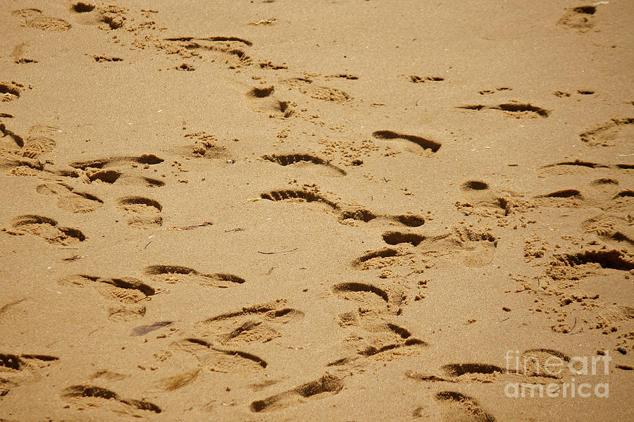 Footprints in the Sand Photograph by Tom Doud