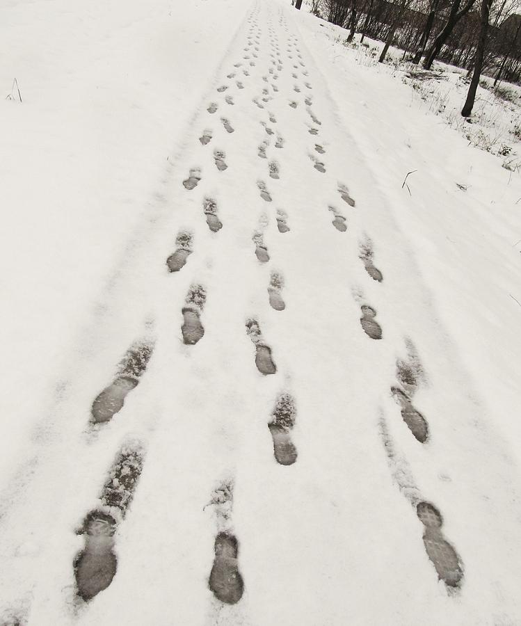 Footprints in the Snow  Photograph by Marianna Mills
