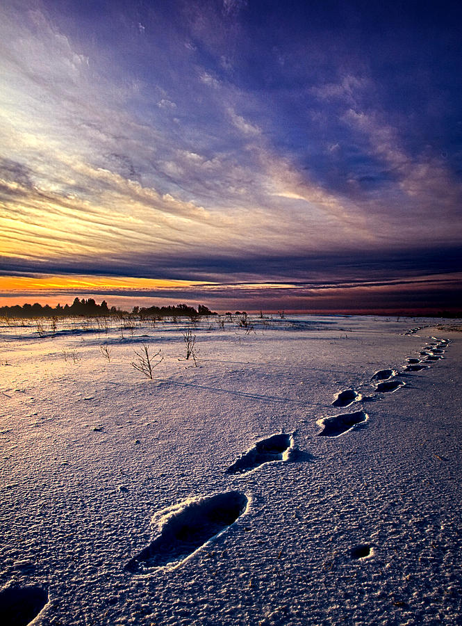 Landscape Photograph - Footprints in the Snow by Phil Koch