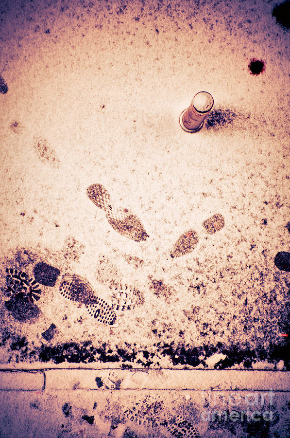 Footprints in the snow Photograph by Silvia Ganora