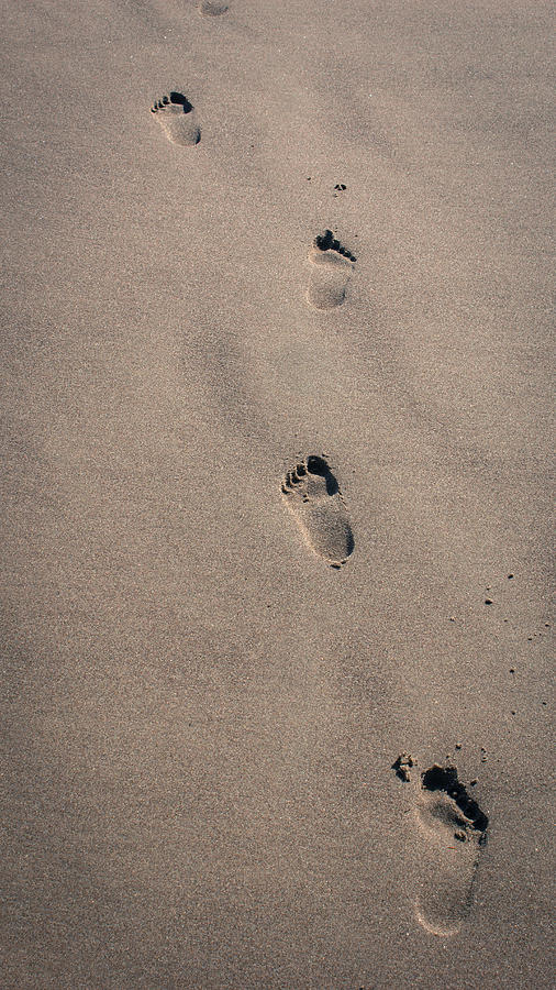 Footprints In Wet Sand Photograph