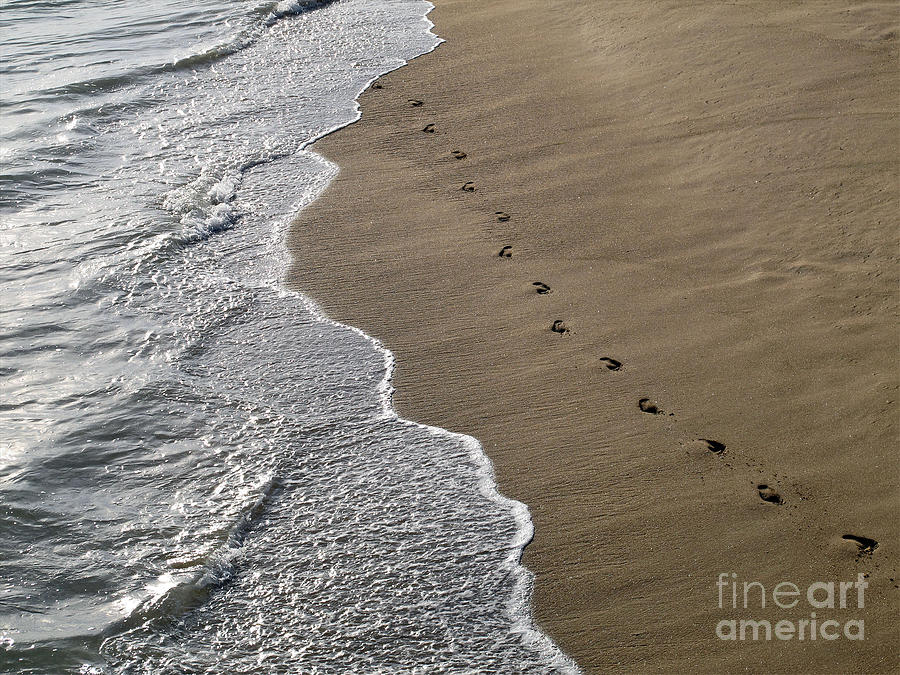 Footprints Photograph by Kelly Holm