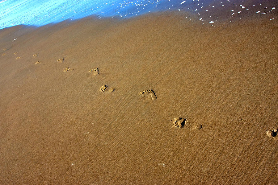 Footprints Photograph by Leigh Grundy