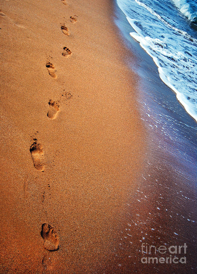 Footprints On Beach Photograph by Antony McAulay