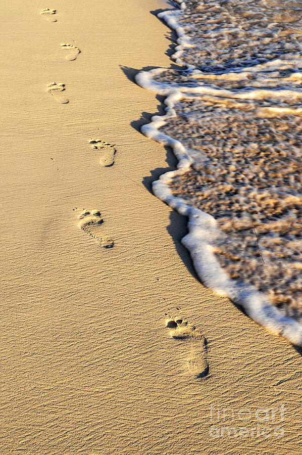 Nature Photograph - Footprints on beach by Elena Elisseeva