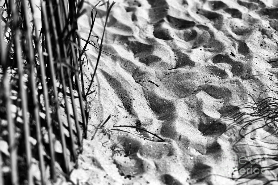 Footprints on North Myrtle Beach mono Photograph by John Rizzuto