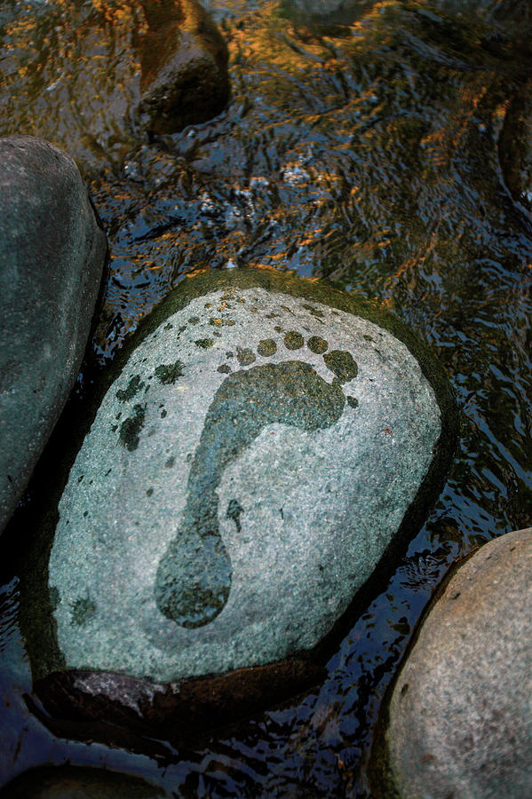 Waterfall Photograph - Footprints On Stones Of The Rio Caldera by Logan Mock-Bunting