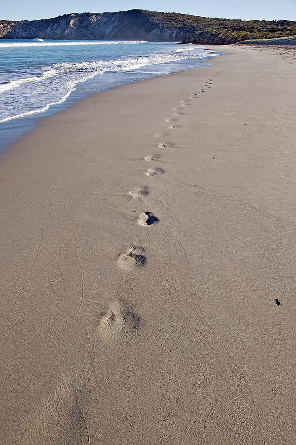 Footprints On The Beach Photograph by Jim Julien / Design Pics
