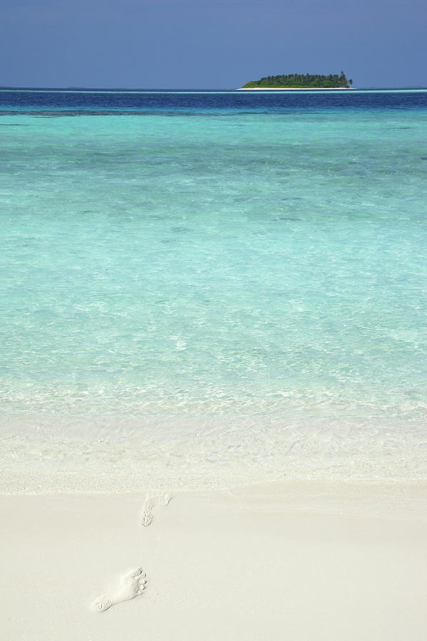 Footprints On Tropical Beach Photograph by Rosemary Calvert