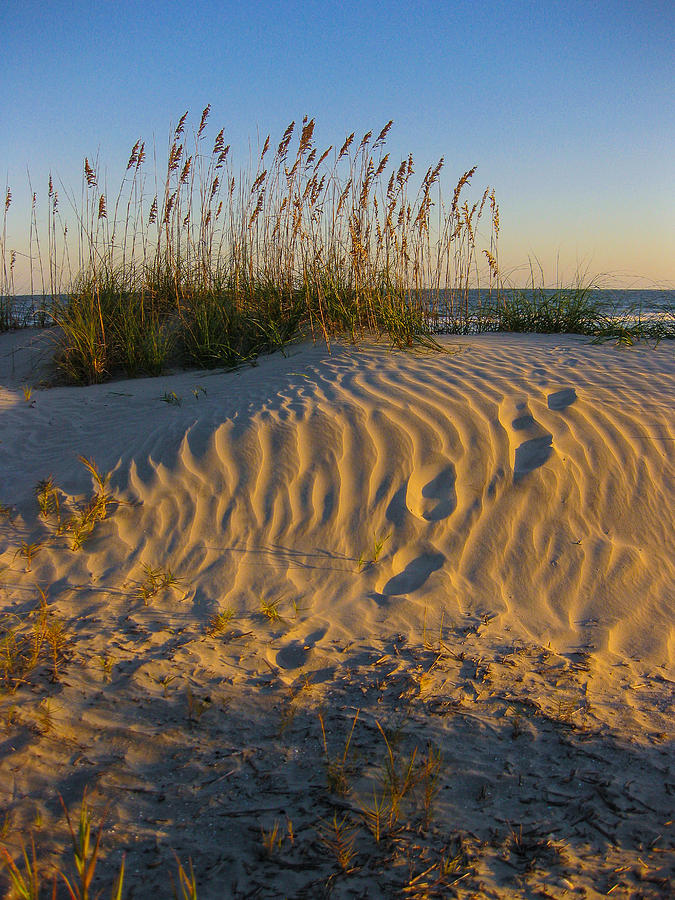 Footprints Photograph by Patricia Schaefer