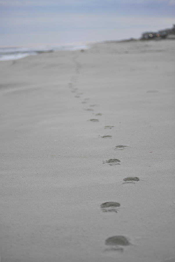 Footprints Photograph by Terry DeLuco