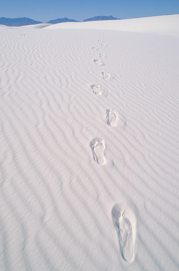 Footprints White Sands New Mexico Photograph by Mark Newman