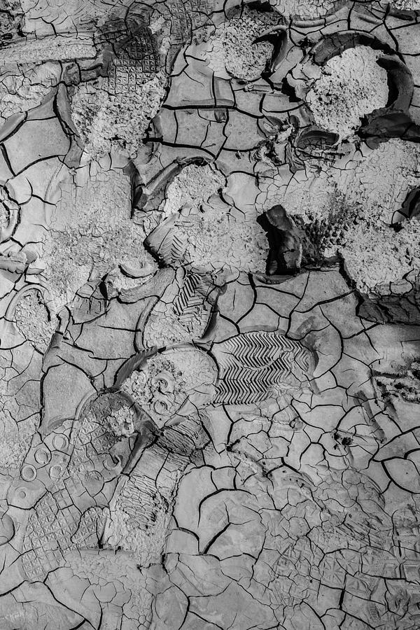 Footsteps in Dried Mud Photograph by Judith Barath