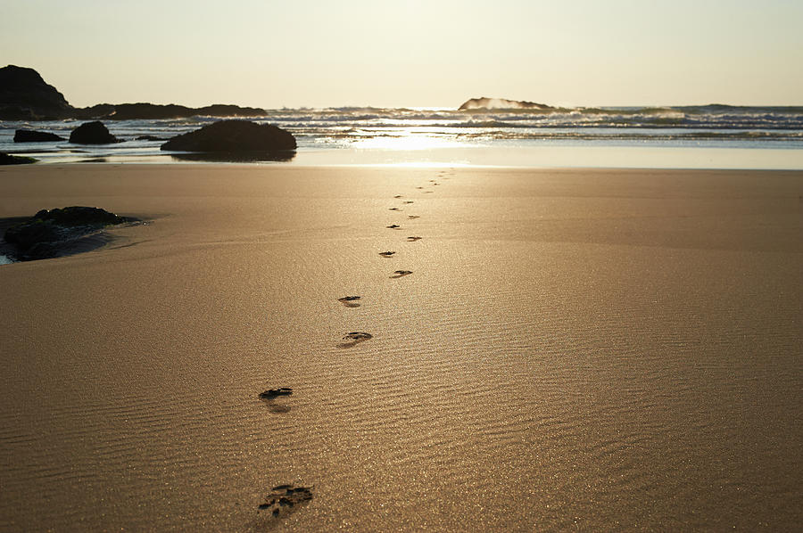 Footsteps Leading Towards Sea At Beach Photograph by Dougal Waters